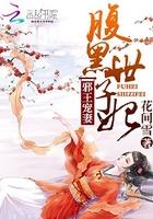 腹黑世子妃日常 腹黑世子妃日常