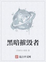 黑暗摧毁者 黑暗摧毁者