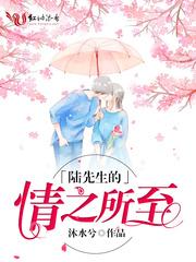 陆先生的情之所至 陆先生的情之所至