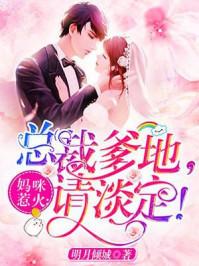 妈咪惹火:总裁爹地,请淡定! 妈咪惹火:总裁爹地,请淡定!