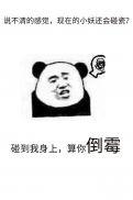 不要乱碰瓷 不要乱碰瓷