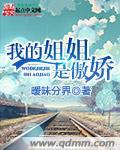 我的姐姐是傲娇 我的姐姐是傲娇
