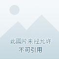神仙你惹不起 神仙你惹不起
