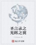 失落的世界之光辉之翼 失落的世界之光辉之翼