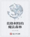 莫格利特的魔法森林 莫格利特的魔法森林