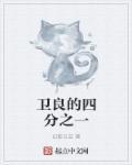 卫良的四分之一 卫良的四分之一
