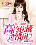 豪门新媳:高冷总裁进错房 豪门新媳:高冷总裁进错房