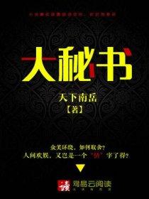 大秘书 大秘书