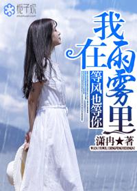 我在雨雾里,等风也等你 我在雨雾里,等风也等你