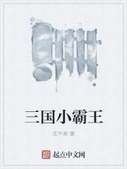 三国小霸王 三国小霸王