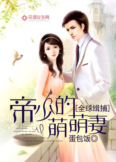 全球缉捕:帝少的萌萌妻 全球缉捕:帝少的萌萌妻
