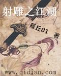 射雕之江湖 射雕之江湖