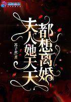 夫人她天天都想离婚 夫人她天天都想离婚