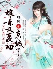 娘亲又轰动京城了 娘亲又轰动京城了